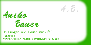 aniko bauer business card